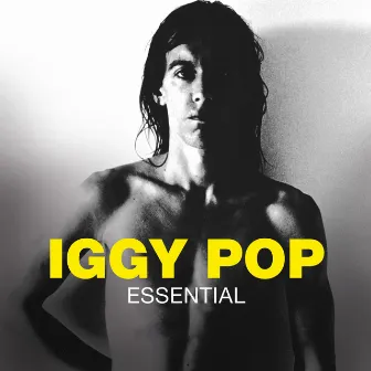 Essential by Iggy Pop