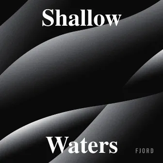 Shallow Waters by Fjord