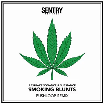 Smoking Blunts (Pushloop Remix) by Substance