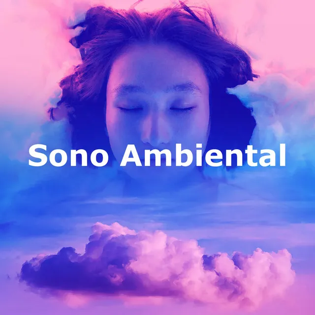 Sono Ambiental