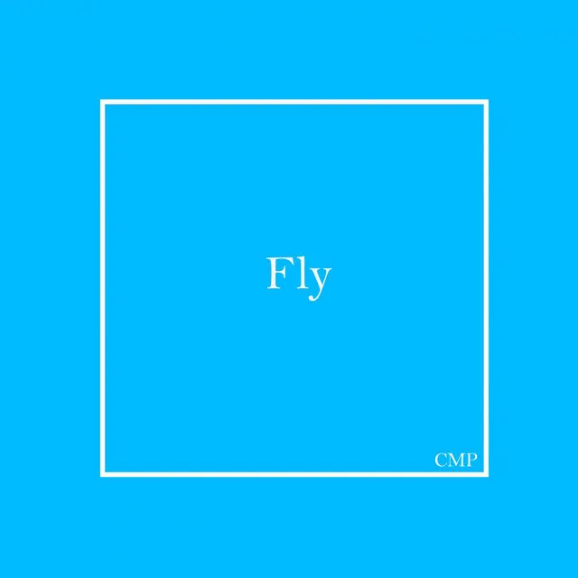 Fly