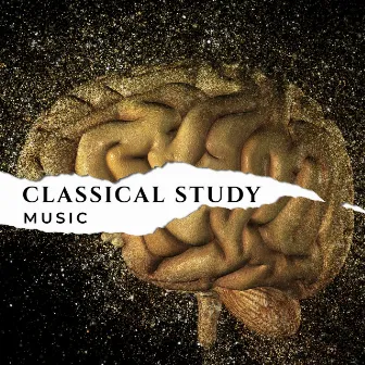 Classical Study Music for Relaxation, Concentration and Focus on Learning by Ballet Dancing Queen