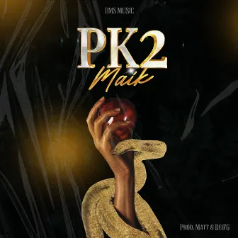 Pk2 by Matt