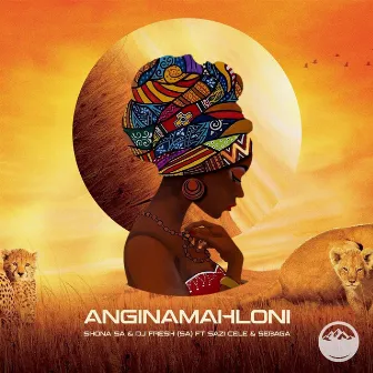 Anginamahloni by Shona SA