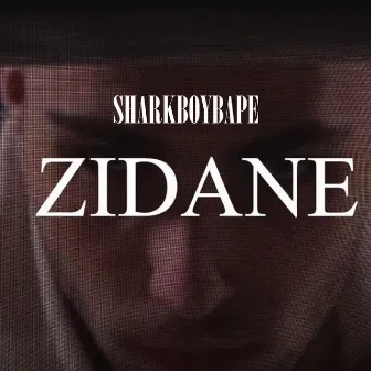 Zidane by sharkboybape