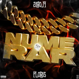 NUME.RAR by FLORIS