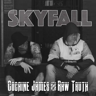 Skyfall by Cocaine James