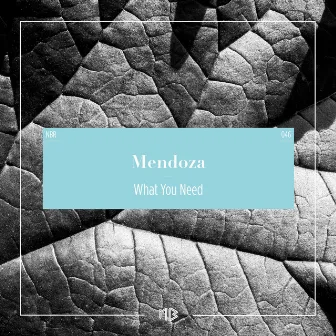 What You Need by Mendoza