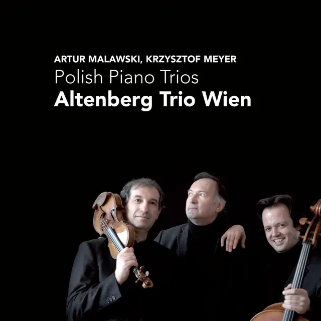 Piano Trio in C-Sharp Minor: I. Lento - Allegro moderato