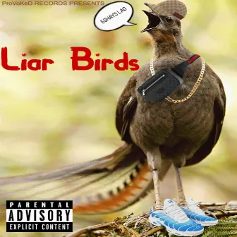 LIAR BIRDS by T.C.W