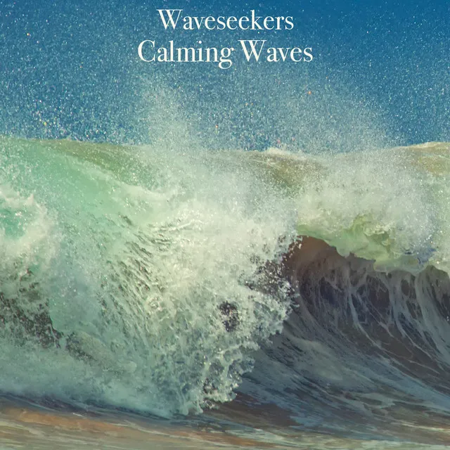 Waveseekers