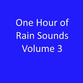 One Hour of Rain Sounds, Vol. 3 by Linder Valley