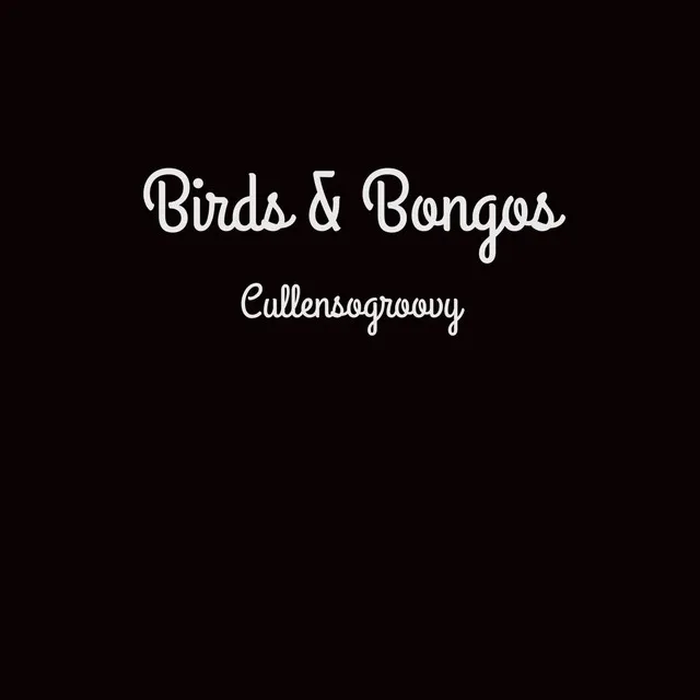 Birds & Bongos