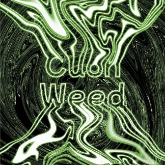 Cuốn Weed by Lil Bam