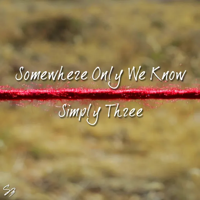 Somewhere Only We Know