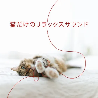 猫だけのリラックスサウンド by スパリラックス睡眠 Masters