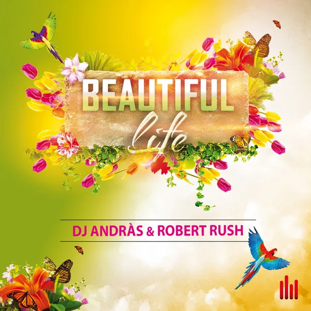 Beautiful Life - Radio Mix