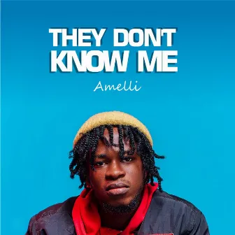 They Don't Know Me by Amelli