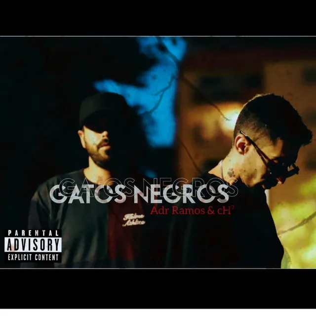 Gatos negros