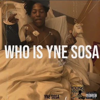 Who Is Yne Sosa by YNE Sosa