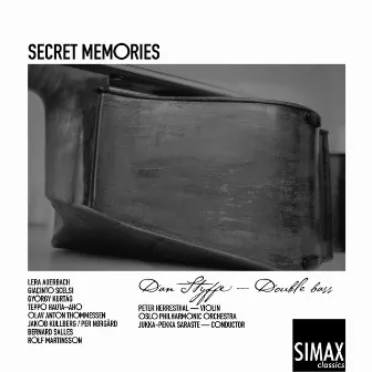 Secret Memories by Dan Styffe