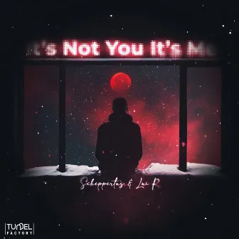 It's Not You It's Me by Lui R