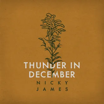 Thunder in December by Nicky James