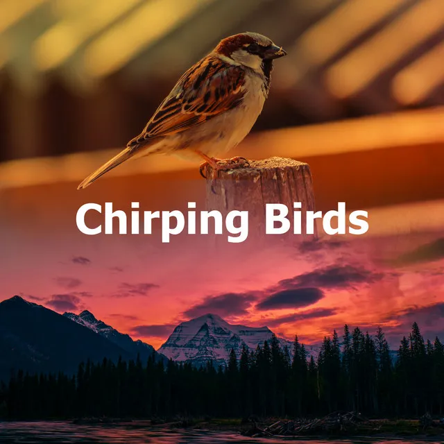 Chirping Birds