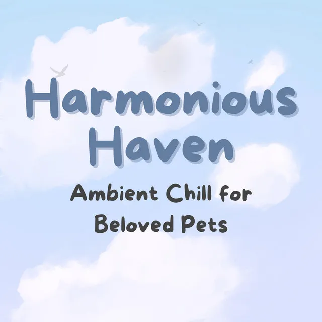 Suspended Pet Harmony