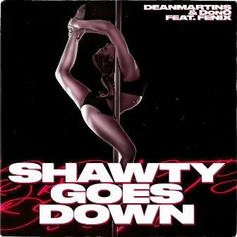 Shawty Goes Down by Unknown Artist