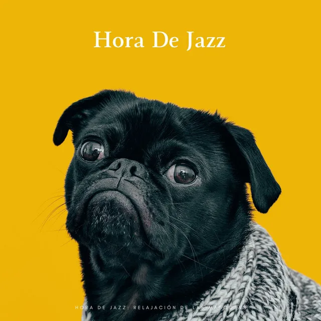 Hora De Jazz: Relajación De Las Mascotas