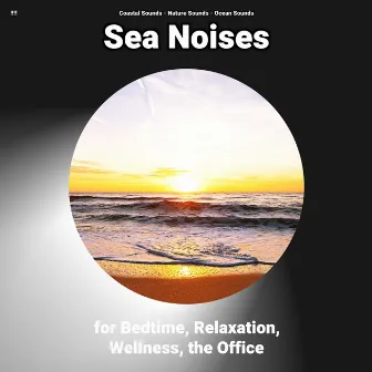 !!!! Sea Noises for Bedtime, Relaxation, Wellness, the Office by Coastal Sounds