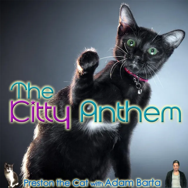 The Kitty Anthem