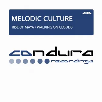 Into New Spaces EP by Melodic Culture