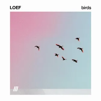 BIRDS by LOEF