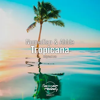 Tropicana by Abide