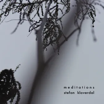 Meditations by Stefan Klaverdal