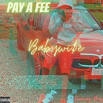 Pay A Fee by Babywise