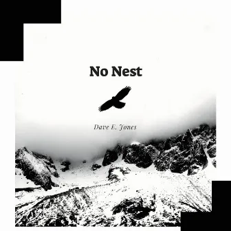 No Nest by Dave E. Jones