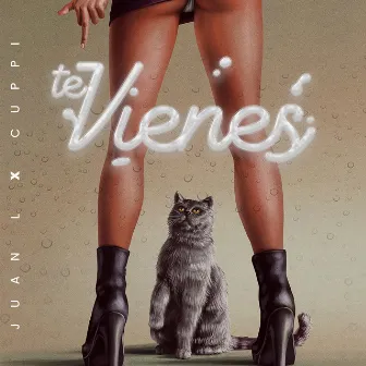 Te Vienes by Juan L