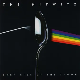 Dark Side of the Spoon by The Nitwitz