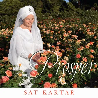 Prosper by Sat Kartar