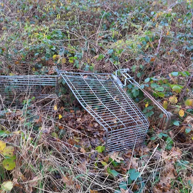 An Album about a shopping trolley