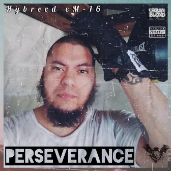 Perseverance by Hybreed eM-16