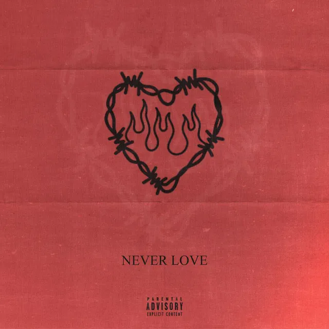 Never Love