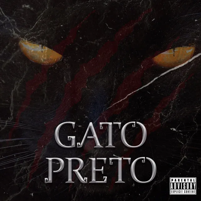 Gato Preto