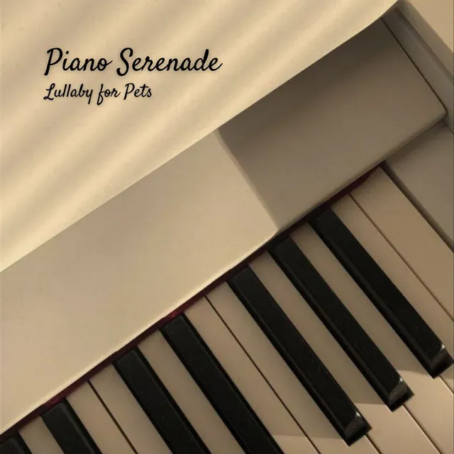 Piano Serenade: Lullaby for Pets