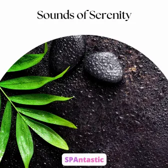 Sounds of Serenity by SPAntastic