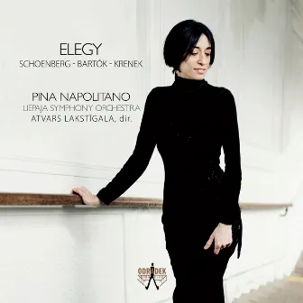 Elegy by Pina Napolitano