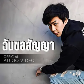 ฉันขอสัญญา by MEK